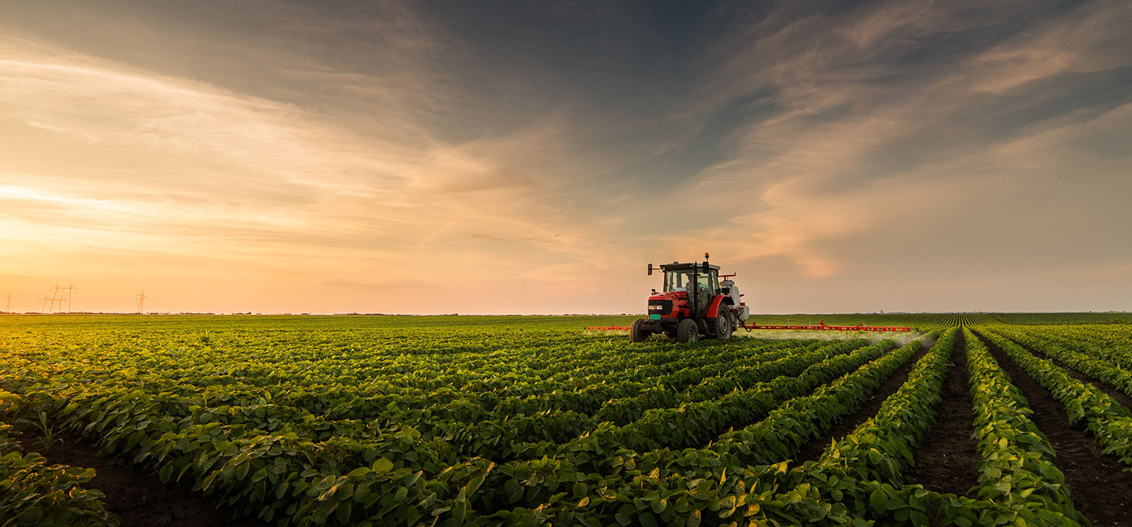 tractor spraying pesticides on soybean field with sprayer at spring