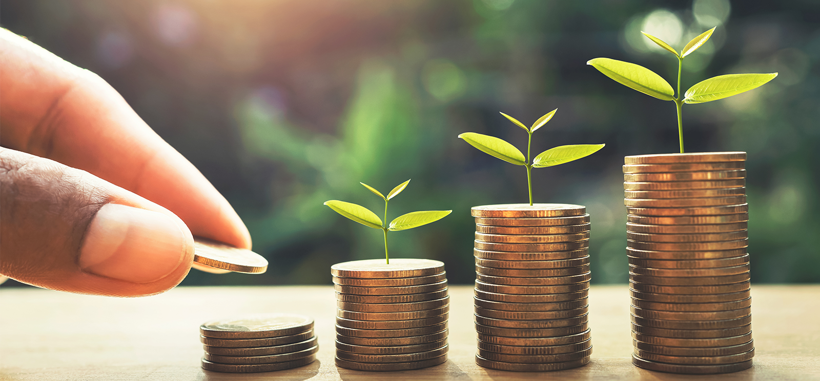 hand putting coins on stack with plant growing on money with nestegg product branding